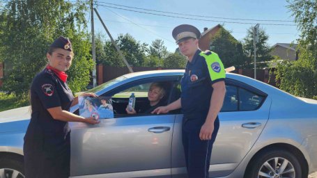 В Домодедово полицейские раздавали воду и мороженое водителям