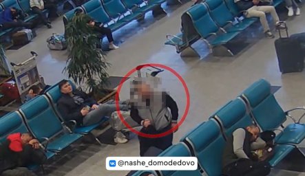 В аэропорту Домодедово мужчина украл сумку с деньгами
