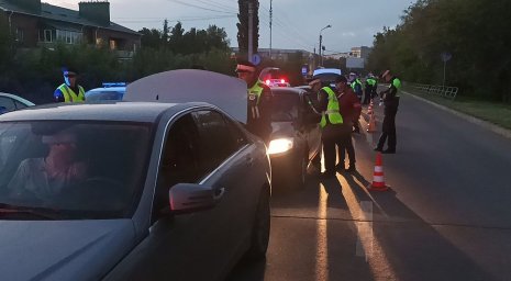 ​В Домодедово автоинспекторы массово проверят водителей на трезвость