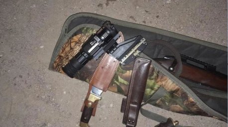 Домодедовский браконьер заплатит 240 тыс рублей за застреленного лося