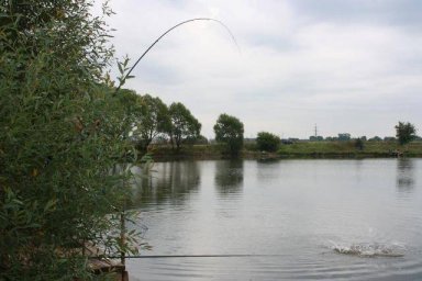 ​Десять лучших мест для бесплатной рыбалки в Подмосковье