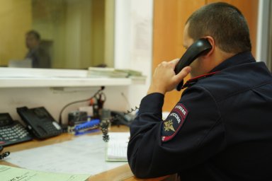 Житель Домодедово за девять краж получил три года восемь месяцев колонии