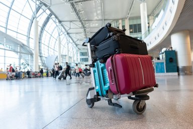 ​Заказать доставку багажа из аэропорта Домодедово теперь можно онлайн
