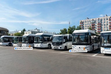 Домтрансавто закупил новые автобусы для Домодедово