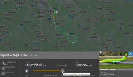 Лиса не дала самолёту приземлиться в Домодедово