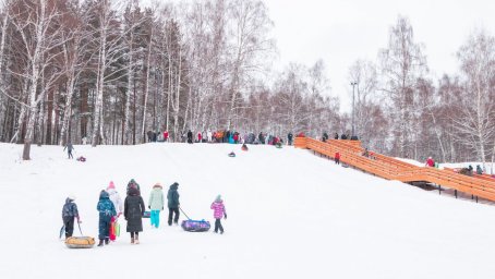 На 2 Га земли Домодедовского лесопарка появятся экопарковка и лыжная база